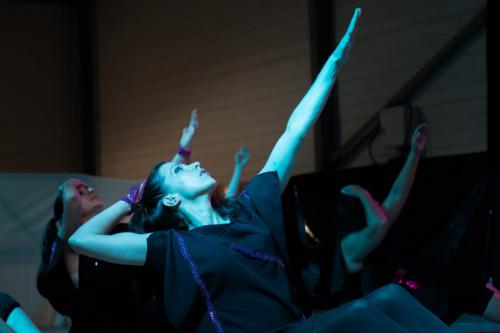 13_Les_marionnettes_du_destin_Danse_adulte_03