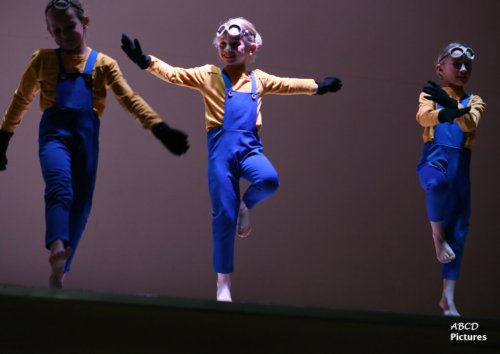 PLENITUDE 2019 - 04 Des filets Minions 04