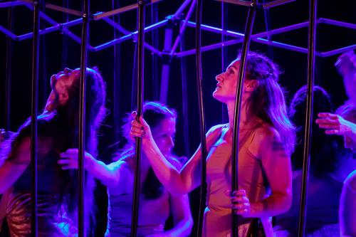 Plénitude2018_09-Comme_Un_Oiseau_En_Cage_22