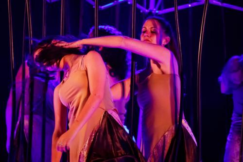 Plénitude2018_09-Comme_Un_Oiseau_En_Cage_23